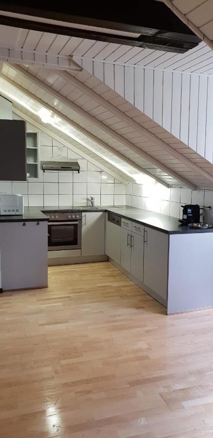 Haus De Philosophe Et Compositeur Rousseau Biel Kültér fotó